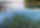 Hallwilersee_Sommer
